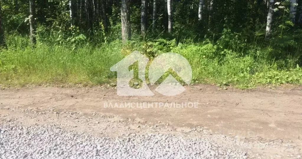 Участок в Новосибирская область, Искитимский район, Морозовский ... - Фото 1