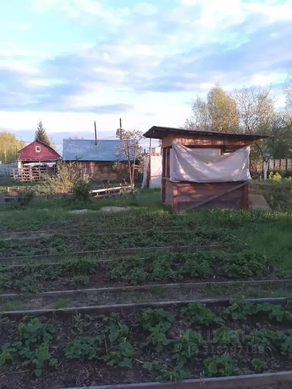 Участок в Нижегородская область, Дзержинск Лесное садовое ... - Фото 1