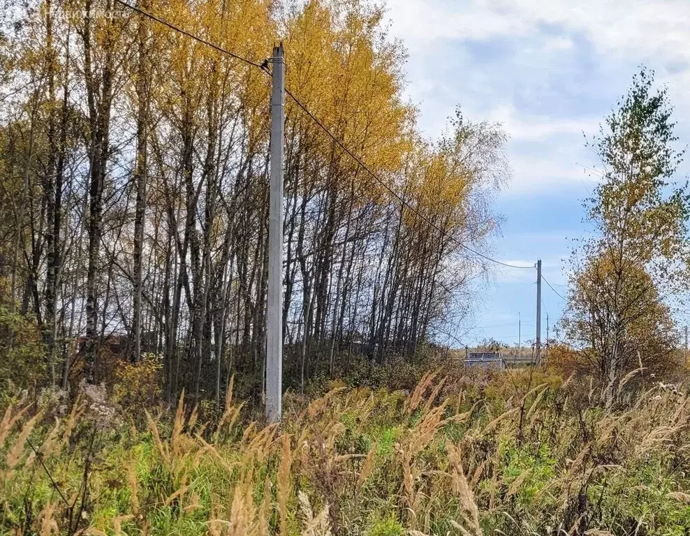 Участок в Заокский район, сельское поселение Демидовское, посёлок ... - Фото 2