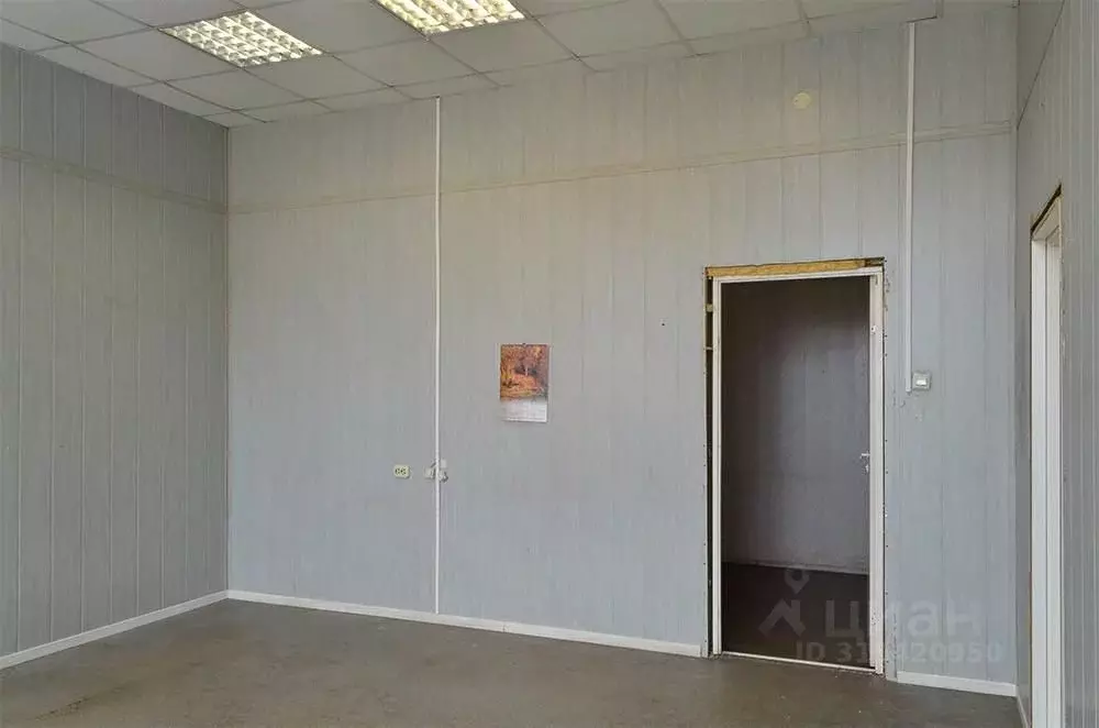 Торговая площадь в Санкт-Петербург Звенигородская ул., 9-11К (27 м) - Фото 1
