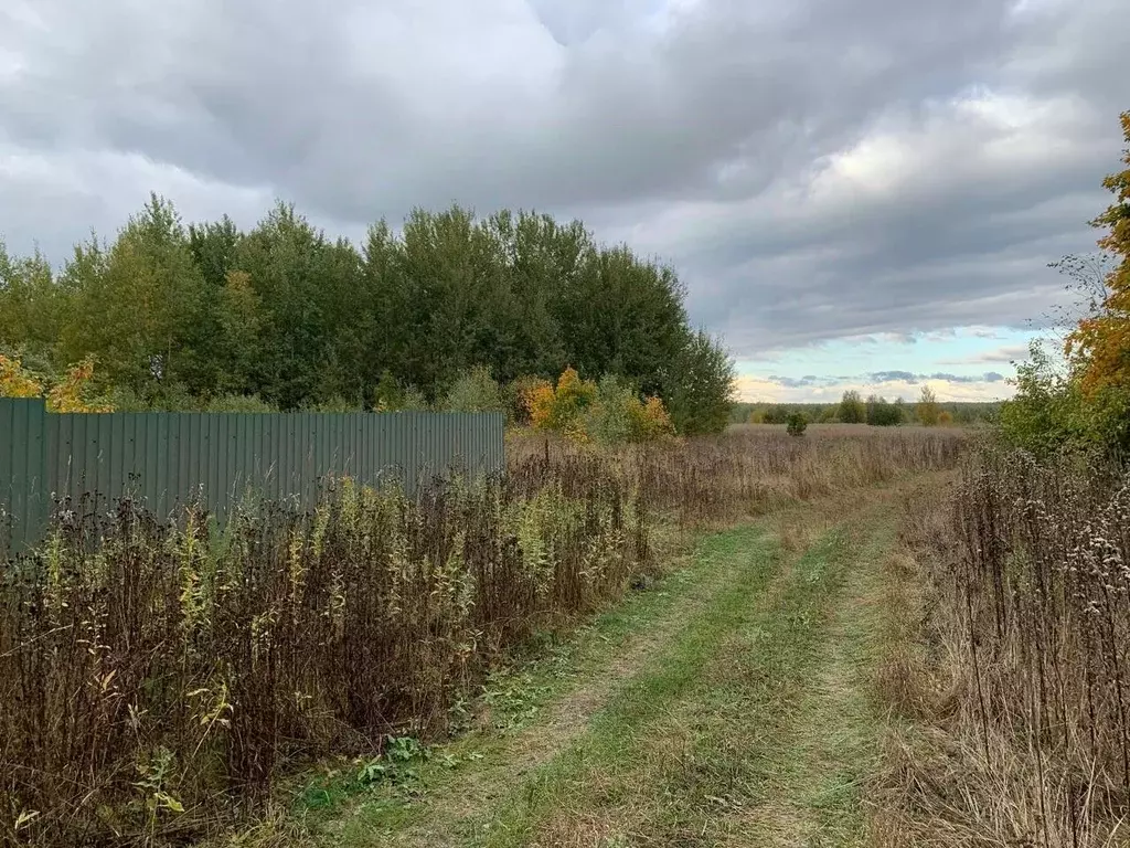 Участок в Владимирская область, Суздальский район, Селецкое ... - Фото 1