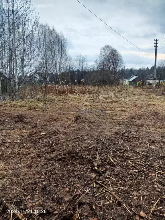 Участок в Нижегородская область, городской округ Семёновский, деревня ... - Фото 0