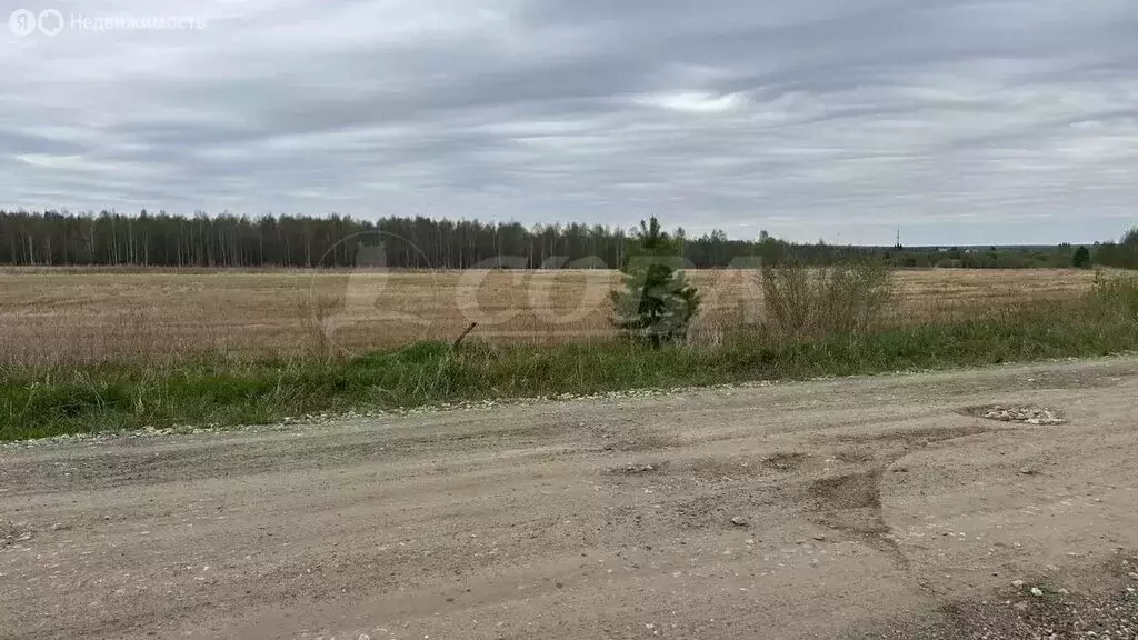Участок в Свердловская область, Тугулымский муниципальный округ, ... - Фото 1