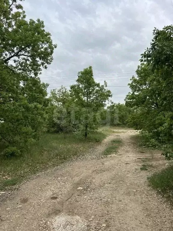 Участок в Севастополь пер. Залесный, 2 (6.09 сот.) - Фото 1