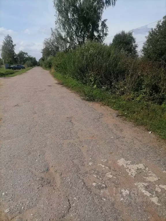 Участок в Новгородская область, Шимский район, Подгощское с/пос, д. ... - Фото 1