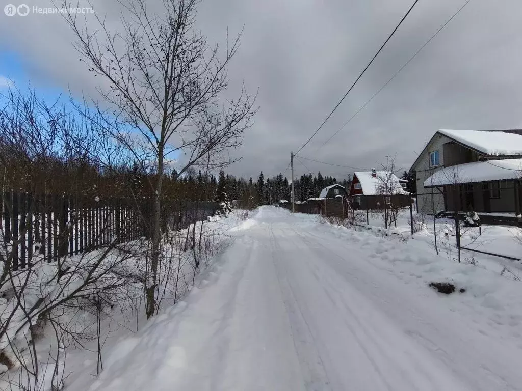 Участок в Форносовское городское поселение, СНТ Родничок (10 м) - Фото 1