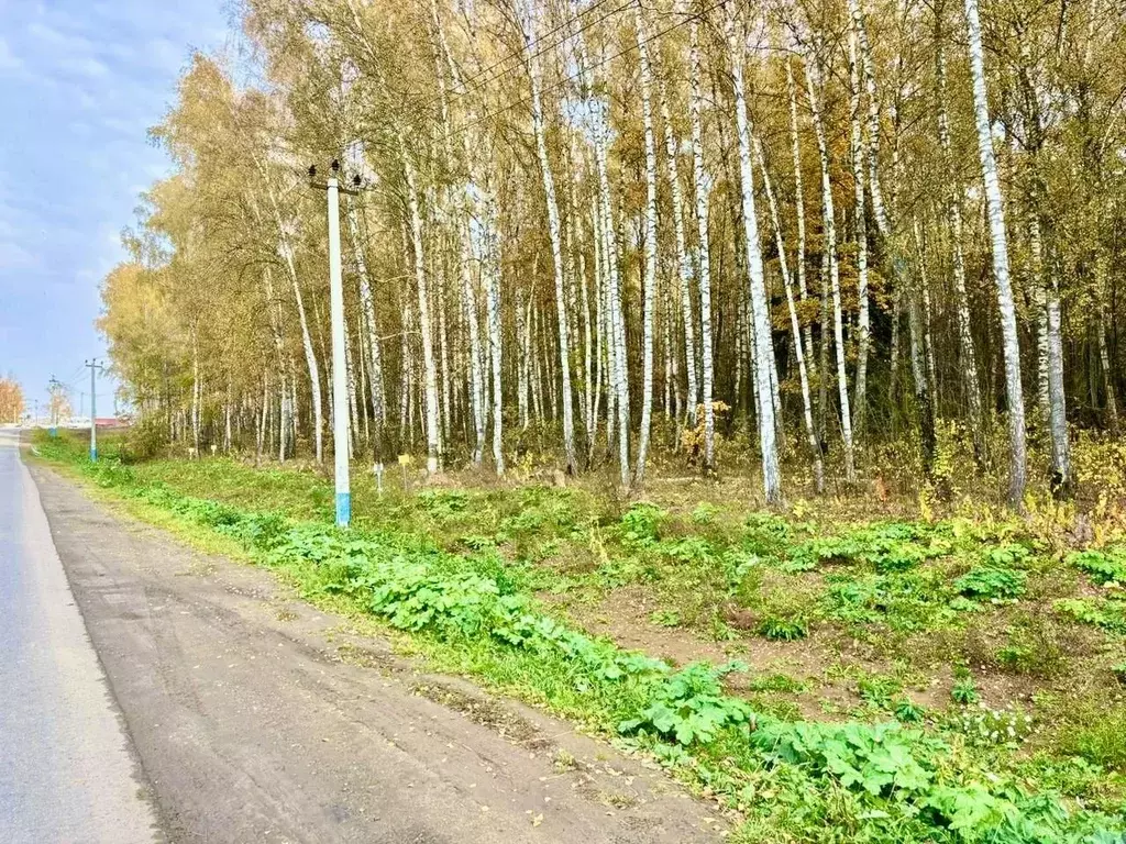 Участок в Московская область, Домодедово городской округ, д. Шишкино, ... - Фото 2
