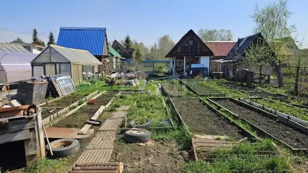 Дом в Тюменская область, Тюмень Ручеек СНТ, ул. Лесная (17 м) - Фото 1