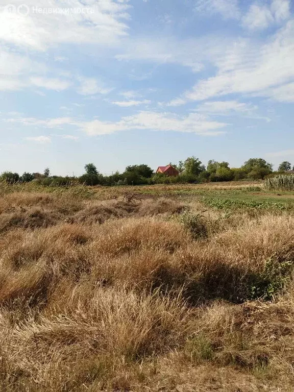 Участок в село Пешково, улица Энгельса, 60 (10 м) - Фото 0