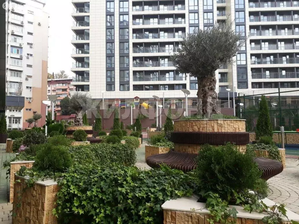 Квартира-студия: Сочи, микрорайон Центральный, переулок Горького, 24 ... - Фото 1