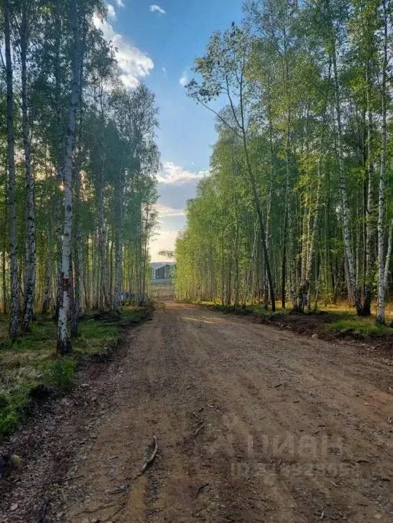Участок в Иркутская область, Иркутский муниципальный округ, пос. Новая ... - Фото 2