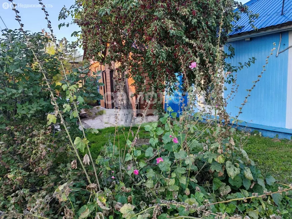 Дом в Омск, микрорайон Чередовый, улица Гоголя, 23 (63.1 м) - Фото 1