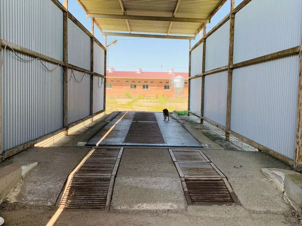 Производственное помещение в Краснодарский край, Тбилисская ст-ца ул. ... - Фото 2