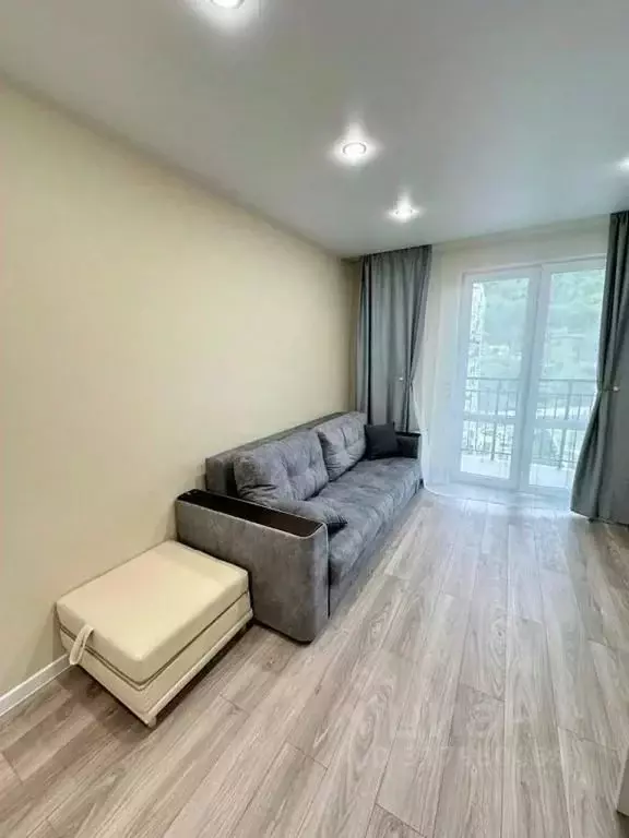 1-к кв. Краснодарский край, Сочи ул. Искры, 88к3 (30.0 м) - Фото 1