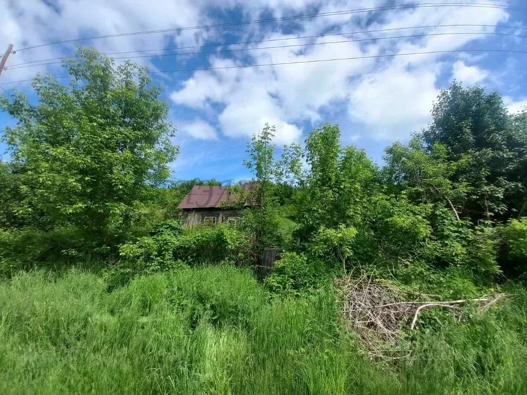 Участок в Алтайский край, Красногорский район, пос. Долина Свободы ул. ... - Фото 2