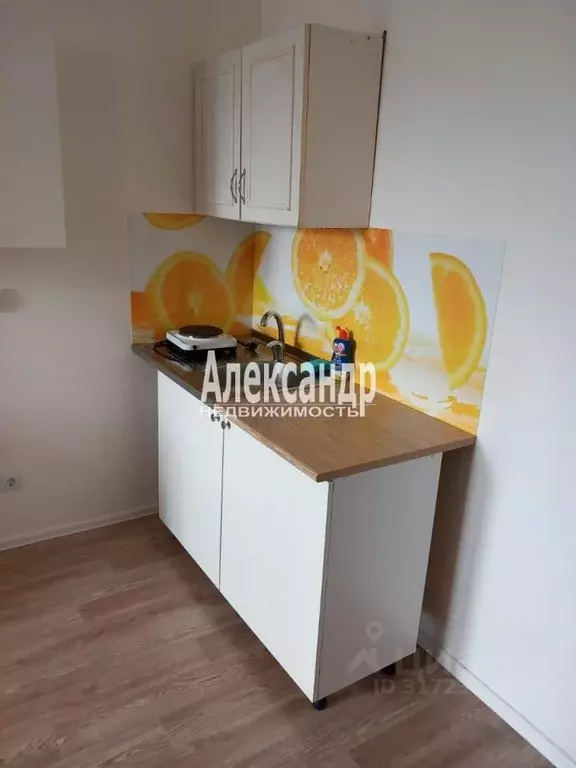 Студия Санкт-Петербург наб. Реки Каменки, 21к1 (23.0 м) - Фото 0