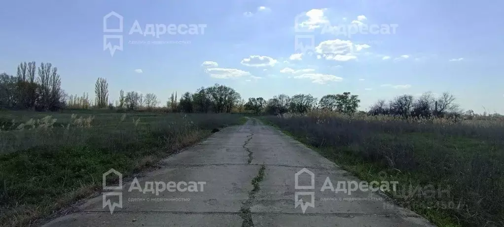 Участок в Волгоградская область, Среднеахтубинский район, Клетское ... - Фото 1