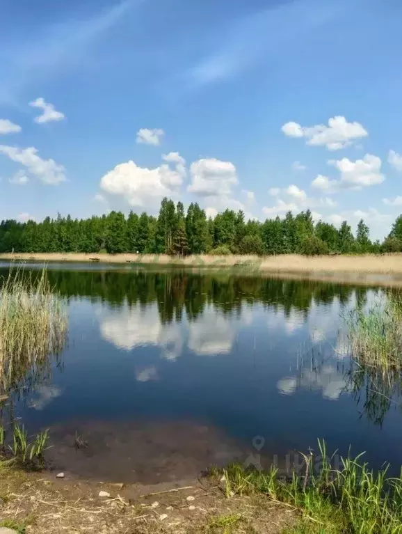 Участок в Тверская область, Осташковский муниципальный округ, д. ... - Фото 1