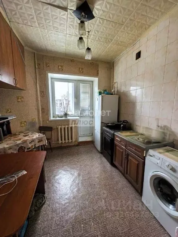 1-к кв. Курская область, Курск Рябиновая ул., 26 (36.9 м) - Фото 1