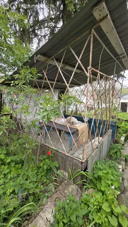 Дом в Ставрополь, Уральская улица, 92 (48 м) - Фото 1