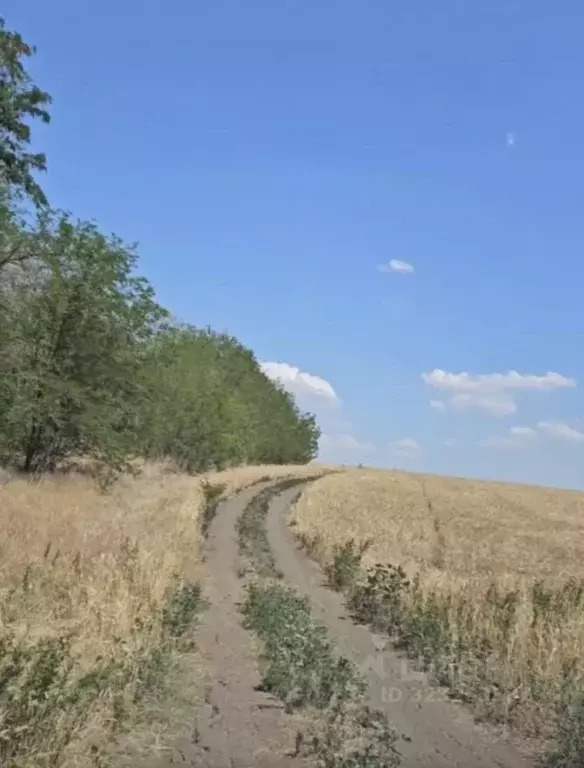 Участок в Ростовская область, Ростов-на-Дону Суворовский жилой ... - Фото 1