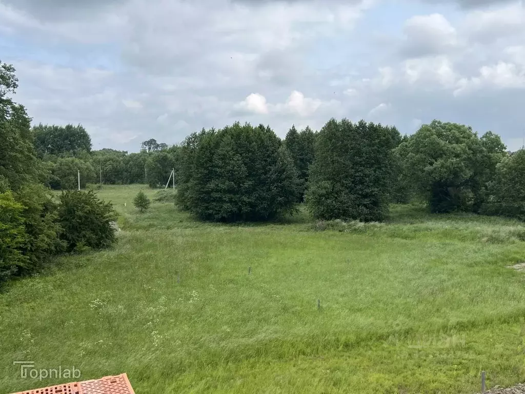 Участок в Калининградская область, Гурьевский муниципальный округ, ... - Фото 1