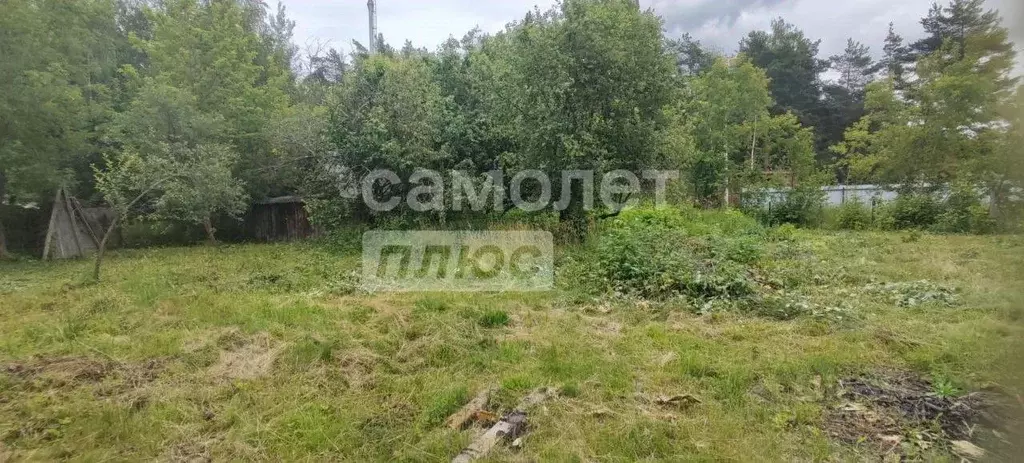 Участок в Московская область, Орехово-Зуевский городской округ, пос. ... - Фото 1