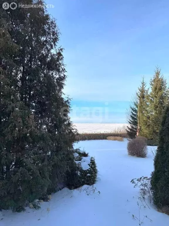 Дом в Новосибирский район, Боровской сельсовет, село Береговое (238 м) - Фото 1