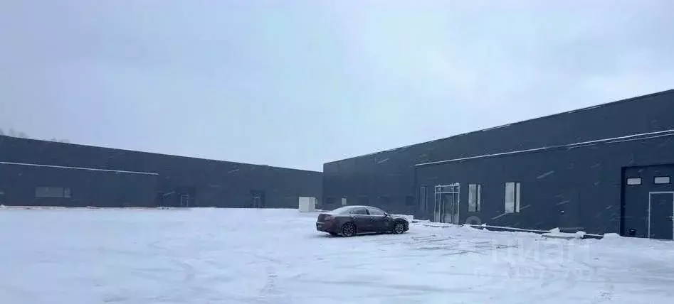 Помещение свободного назначения в Ленинградская область, Всеволожский ... - Фото 1