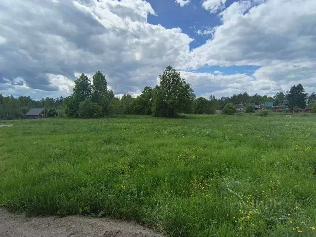 Участок в Ленинградская область, Приозерский район, Мельниковское ... - Фото 1