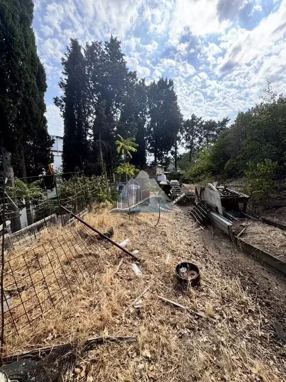 Участок в Крым, Ялта муниципальный округ, Отрадное пгт ул. Мориса ... - Фото 2