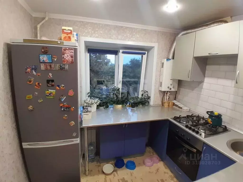 2-к кв. Белгородская область, Алексеевка ул. Мостовая, 16 (43.5 м) - Фото 0