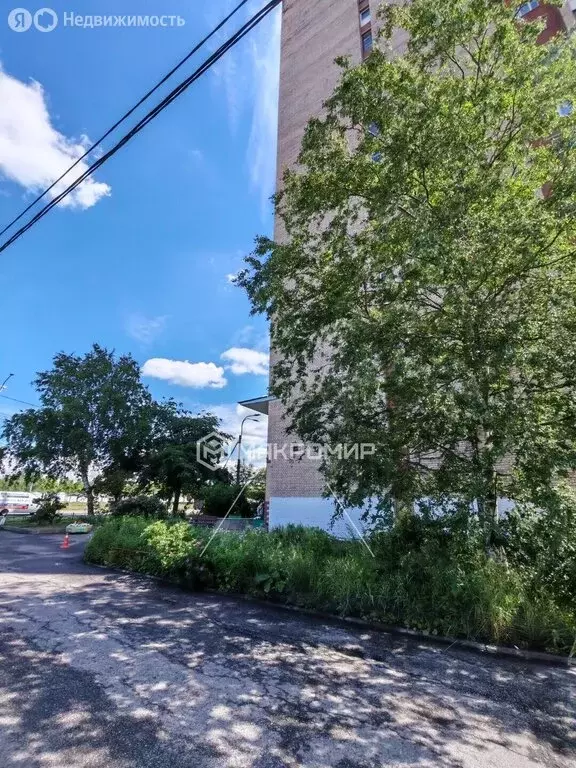 1к в 5-комнатной квартире (12.1 м) - Фото 2