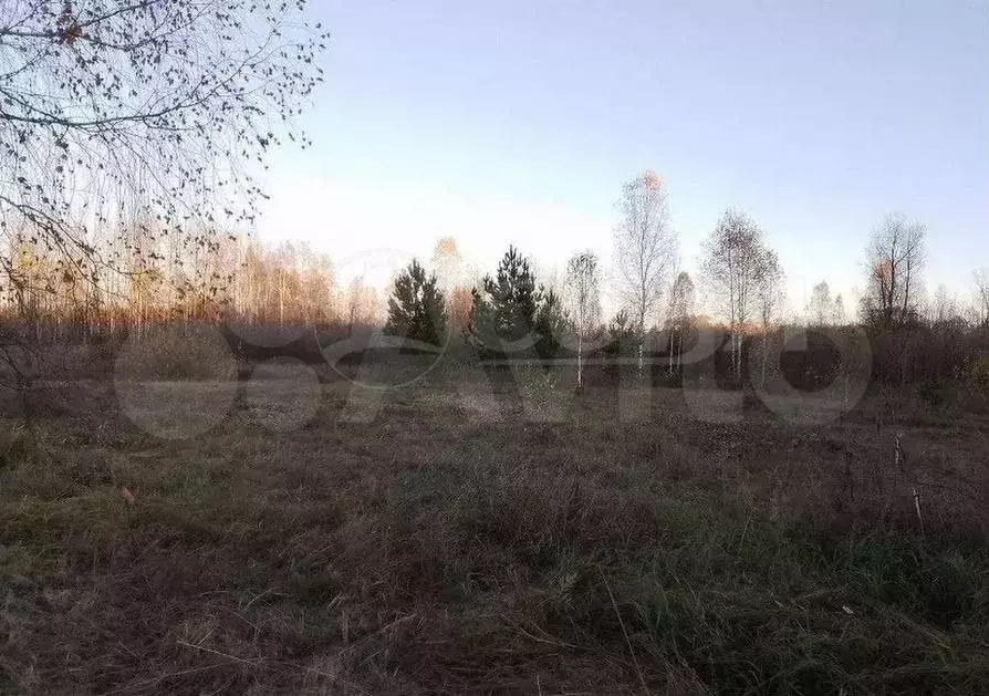 Участок 8 сот. (СНТ, ДНП) - Фото 1