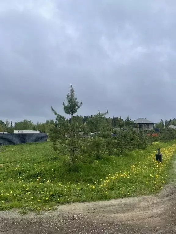 Участок в Астраханская область, Наримановский район, с. Волжское Абая ... - Фото 1