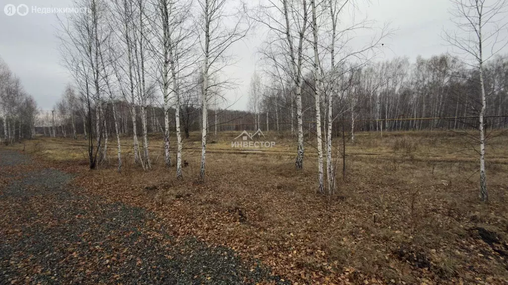 Участок в Челябинская область, Аргаяшский муниципальный округ, деревня ... - Фото 2