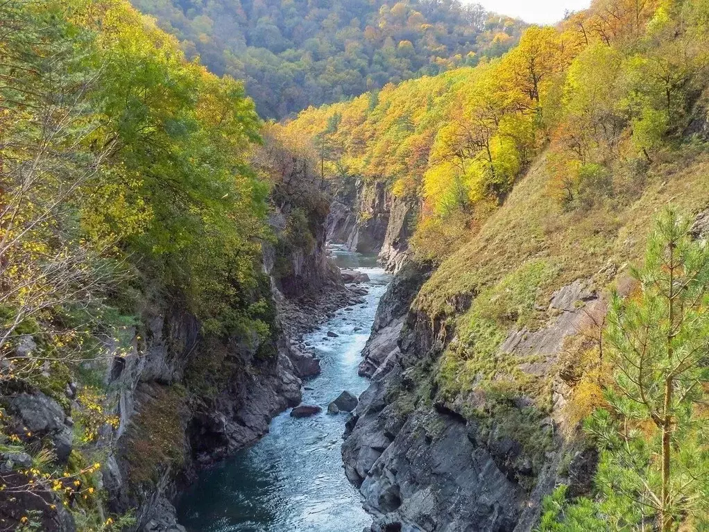 Участок в Адыгея, Майкопский район, Даховская ст-ца  (8.0 сот.) - Фото 1