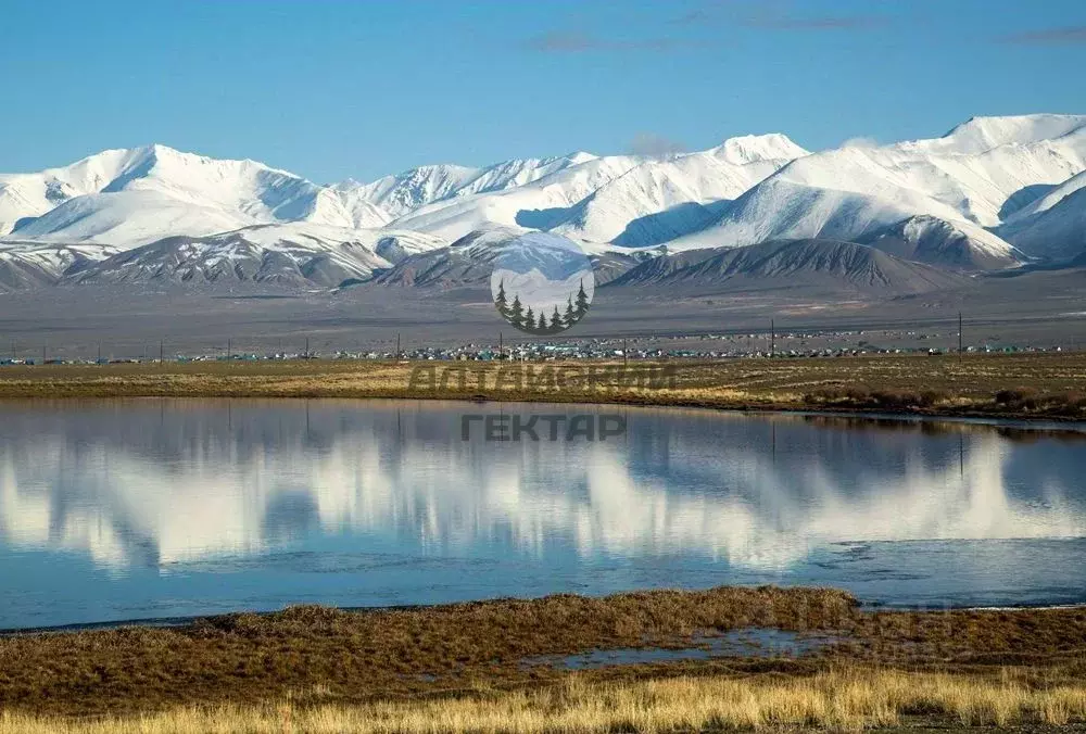Участок в Алтай, Кош-Агачский район, с. Кош-Агач ул. Имени А.К. ... - Фото 0