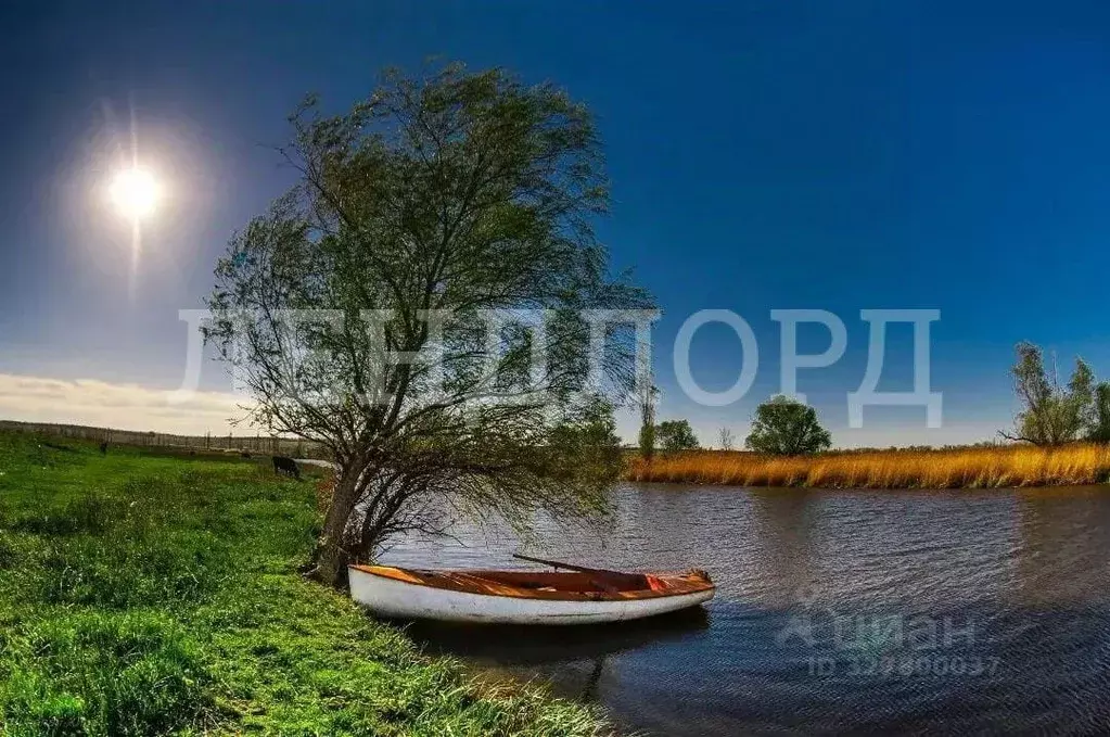 Участок в Ростовская область, Неклиновский район, с. Троицкое ул. ... - Фото 2