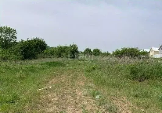 Участок в Краснодарский край, Новороссийск городской округ, ... - Фото 1