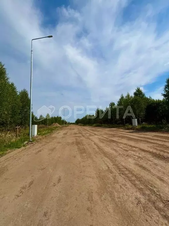 Участок в Тюменская область, Тюменский район, Новокаменский кп  (17.0 ... - Фото 1