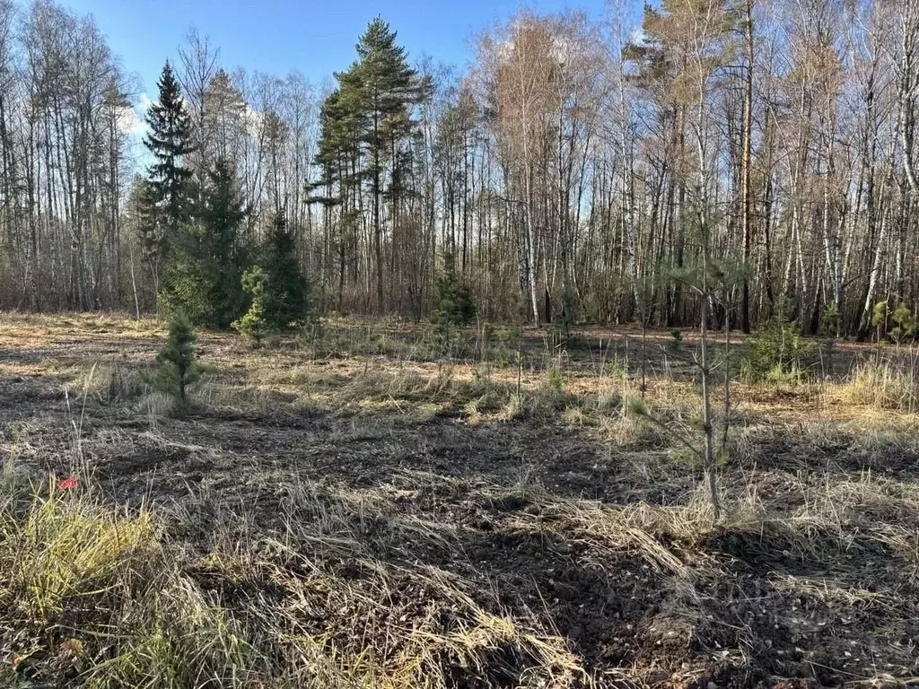 Участок в Тульская область, Заокский район, Страховское с/пос, ... - Фото 1