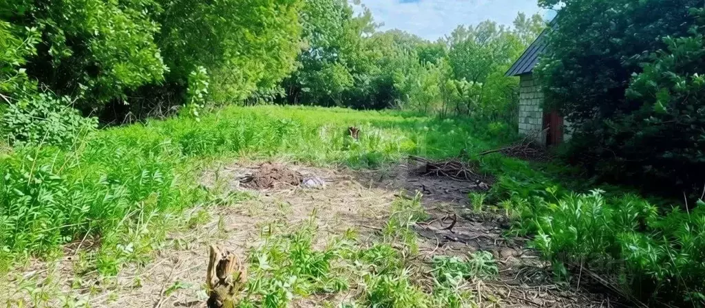 Участок в Тульская область, Тула Пировская ул. (8.6 сот.) - Фото 1
