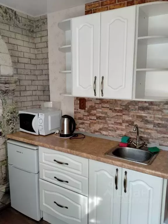 1-к кв. Воронежская область, Воронеж Пушкинская ул., 2 (32.0 м) - Фото 1