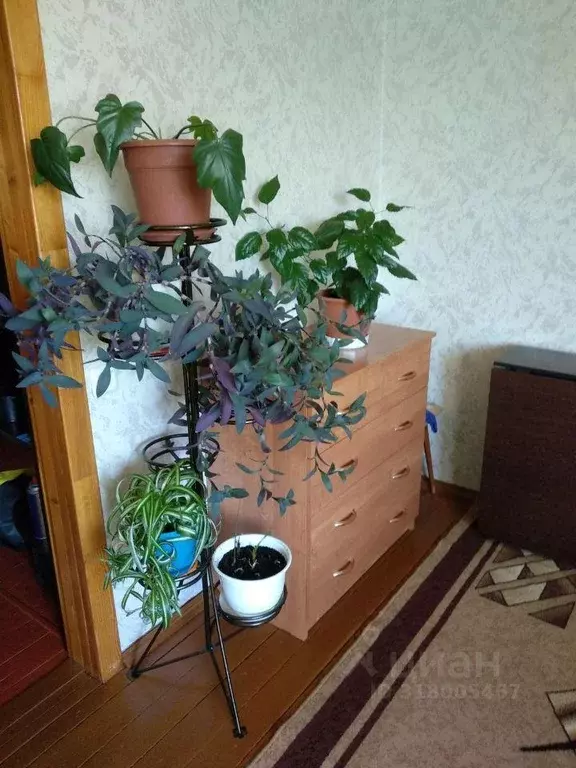 Квартира, 1 комната, 39.5 м - Фото 1