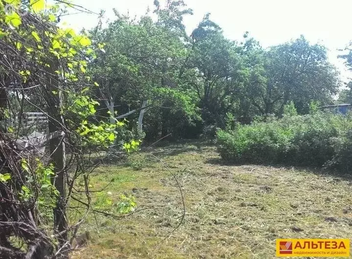 Участок в Калининград, СНТ Колосок, Звёздная улица, 59 (4 м) - Фото 2