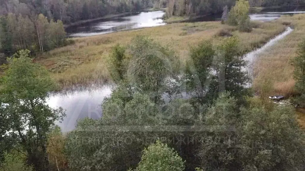 Участок в Ленинградская область, Приозерский район, Мельниковское ... - Фото 2