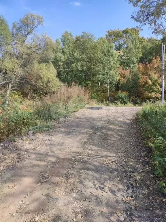 Участок в Хабаровский край, Хабаровский район, с. Ракитное, 73-й кв-л  ... - Фото 2