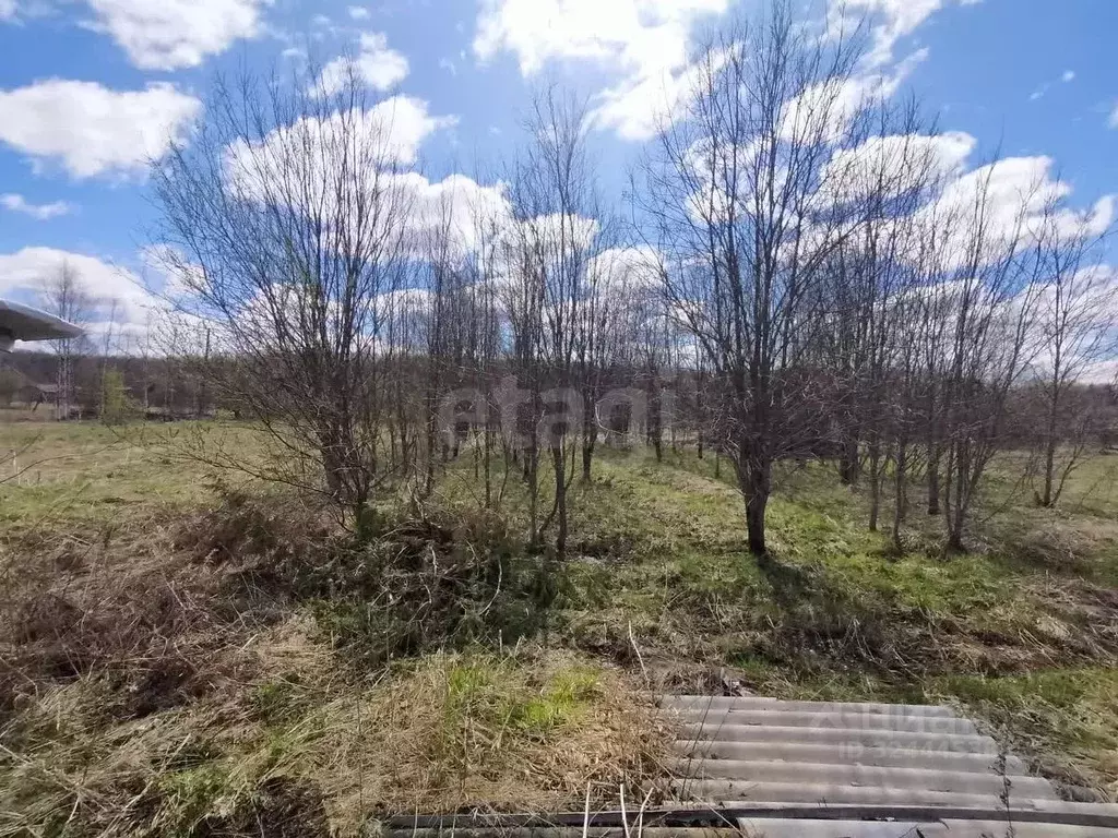 Участок в Костромская область, Шарьинский район, Зебляковское с/пос, ... - Фото 2