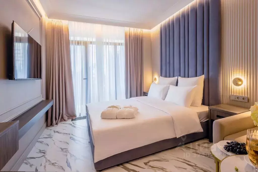 1-к кв. Краснодарский край, Сочи ул. Ленина, 217а (21.0 м) - Фото 1